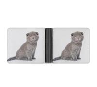 SWQNHTYC Cute Fat Cat Wallet Women Bifold Multi Card Slots Ladies Mini Purse