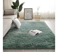 Swsen Living Room Rug Ultra Soft - Modern Fluffy Rugs Extra Large Small Medium Rectangular Size - Indoor Shaggy Area Carpets Washable Non Shedding for Bedroom Home Decor, Turquoise, 40 x 60 cm