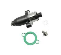 SWVYDC Cam Chain Tensioner Motorcycle Timing Chain Tensioner Fit For Benelli TNT250 TNT25 TNT 250 25 TRK251 Leoncion 250 Chain Tensioner(WITH GASKET)