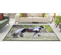Sxakswol Horse Carpet Animal Pony Rug Area Rugs for Living Room or Bedroom Soft Short Pile Carpets 60x100 cm 3D Non Slip Washable Floor Mat Indoor Door Matts Y6218
