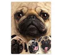SXCHEN Blankets Plush Sofa Bed Throw Blanket Funny Pug Dogs Pet Animal 60"x80"