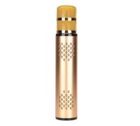 Sxhlseller Microphone Receptor with Portable Wireless Microphone for External KTV, Q6 Fiber, 1 Unit (Gold)