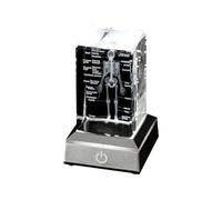 Sxmrmnx Human Skeleton Model Anatomy Gift Crystal Skeleton Model Crystal Label Skeleton Model for Medical Students