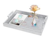 SXNOWS 16"x12" Rectangle Classic Faux Leather Decorative Tray (Silver)