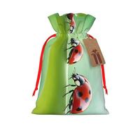 SXOOGE Funny Ladybug Gift Bag with Handles and tag, Perfect for Christmas, Holiday, Birthday, Wedding or Daily Gift