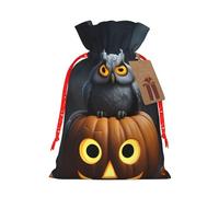 SXOOGE Halloween Owl Ghost Pumpkin 1 Gift Bag with Handles and tag, Perfect for Christmas, Holiday, Birthday, Wedding or Daily Gift