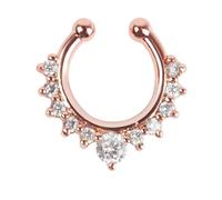 SXQCKJ Non-Piercing Septum Jewelry, Eleven Cz Stones Multi Gem Clip On Fake Ring Hanger Piercing(Rose gold white diamond)