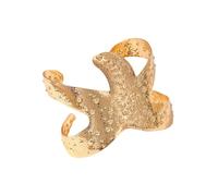 SXRQ Trendy Women's with Starfishes Styles and Gold Plating Suitable for Various Occasions Daily Casual Wear Statement Jewelry Pieces