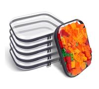 SXS LACONIC Clear Hard Plastic Zipper Case,Transparent Double Zippers Hard Pouch with 6pcs,Portable Travel Organizer Bin for Toy Storage