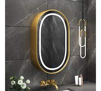 SXSaelciun Modern Oval LED Cabinet Wall Mounted Storage Cupboard with Mirrored Door Gold Finish 80H x 50W