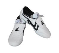 SXTYYH Karate Shoes for Men Women Breathable Kung Fu Tai Chi Shoes Martial Arts Taekwondo Non-Slip Sole Flexible for Wushu(9 UK)