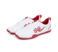 SXTYYH Karate Shoes for Training, Martial Arts Kung Fu Shoes for Men Women with Rubber Non-Slip Sole Indoor Outdoor Tai Chi Flexible Lightweight Grounding(White,3.5UK)