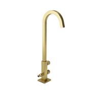SXWYLZ Cold Water Tap Frost Proof Outdoor Tap with Splitter Double Outside Faucet 360° Rotation Double Handle,Brushed Gold