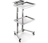 SXYKXYDL 2 Tier Rolling Cart Trolley - Mobile Salon Tray on Wheels Folding Esthetician Cart for Beauty Spa and Salon Use Portable Storage nizer