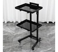 SXYKXYDL Rolling Cart Trolley - 2 Tier Folding Salon Tray on Wheels Mobile Esthetician Cart for Beauty Spa and Salon Use and Stylish Design