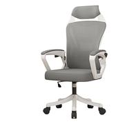 SXZenSpace Office Gaming Chair Ergonomic Comfy Mesh Home with 150° Recline,S-Shaped Backrest,Lumbar Support,for Study,Working,Executive,Living,Bedroom,Hotel,Dining Room (Gray)