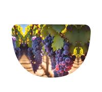 SXZVVBN Desert Grapes Flannel Half Moon Door Mat For Indoors