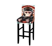 SXZVVBN The silent monkey Stretch Bar Stool Covers Dining Seat