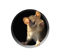 SyangKaitian 3D Mouse Hole Wall Stickers 5Pcs Mouse in Wall Decals,Mouse Hole Stickers No Cats Scaredy Mouse Hole Wall Sticker,Mouse Hole Wall Decal Mouse Wall Sticker Lovely Home Kitchen Decor