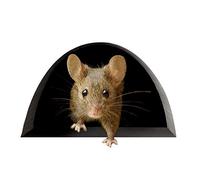 SyangKaitian 3D Mouse Hole Wall Stickers 5Pcs Mouse in Wall Decals，Mouse Hole Stickers No Cats Scaredy Mouse Hole Wall Sticker,Mouse Hole Wall Decal Mouse Wall Sticker Lovely Home Kitchen Decor