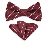 SYAYA Men Pre-tied Necktie Striped Bow Ties Set for Men - Multiple Choice MLD06 - -