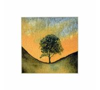 Sycamore Gap. A great 5X5 inch giclee art print. Made from a Ray Stephenson original watercolour painting.