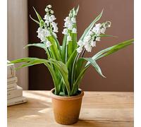SYDDOL Artificial Lily of the Valley Plant in Pot, Small White Artificial Flowers Real Touch for Home Decor, Realistic Garden Plants for Outdoors, Artificial Lilies Flowers Indoor Outdoor Table