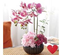 SYDDOL Artificial Orchid Flowers with Vase Decorative Bonsai that Look Real Artificial/Faux Orchid Hydrangea Flowers with Ceramic Pot for Table Centerpieces Home Decoration (Blush Pink)