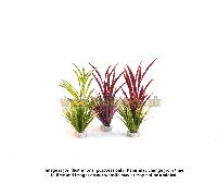 Sydeco Natural Atoll Grass Aquarium Plant - 40cm