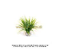 Sydeco Oasis Tank Ornament - Green