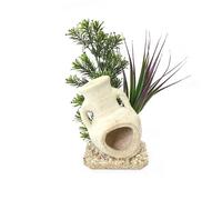 Sydeco Roman Mirage Aquarium Plant - 11cm