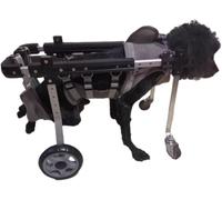 SYFNLPH Tiny Large Dog Wheelchair 4 Wheels Full Support, Disabled Cat Pet Mobility Cart Front/Back Legs, Animal Exercise Lifting Aid Rolling Tools(S)