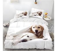 Syhi Qlty Golden Retriever Double Duvet Cover Set - Labrador White Quilt Bedding Set with Zipper Closure + 2 Pillowcases Soft Hypoallergenic Microfiber Quilt Cover 200x200 cm K18