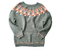 SYLDMKJ Sweaters For Women Women Winter Autumn Sweater Casual Loose Round Neck Vintage Knitted Jumper Top-Fox-Xl