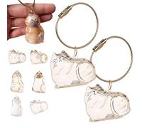 SYLKXB Cat Hair Storage Bottle, Transparent Cat Hair Storage Pendant Keychain, Portable Pet Fur Commemorative Bottle for Collecting Pet Fur & Whiskers (B)