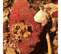 Sylph - Silver As It Was Before [VINYL]