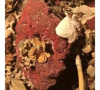 SYLPH - SILVER AT IT WAS BEFORE (LIMITED 12"EP+MP3) VINYL LP + MP3 NEW