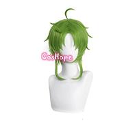 Sylphiette Greyrat Cosplay Jobless Reincarnation Cosplay Mushoku Tensei Green Wig Cosplay Anime Heat Resistant Synthetic Wigs