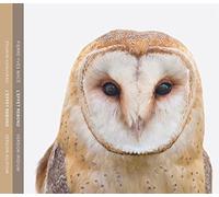 Sylvain Chauveau / Pierre-Yves Mace - L'Effet Rebond (Version Silicium / Version Iri