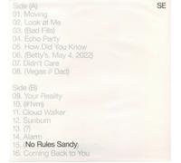 No Rules Sandy [VINYL]