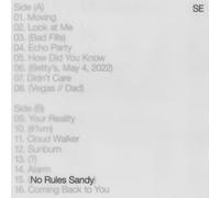 No Rules Sandy [VINYL]