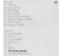 Sylvan Esso - No Rules Sandy [VINYL]