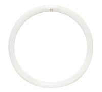 Sylvania 40W T9 circline plus circular lamp tube G10q cool