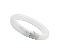 Sylvania LUXLINE - LUXLINE Circular FC40 W/840 T9 G10q