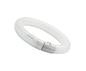 Sylvania T9 Circular 22w Magnifier Lamp Warm White (3000k) Fluorescent Tube