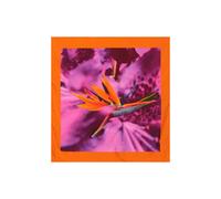 Sylvia Piechulla Bird of Paradise Printed Silk Scarf - Pink Purple - Silk - Pink Purple