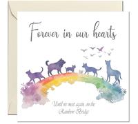 Sympathy Card for Pet Dog Cat - Over the Rainbow Bridge - Bereavement Condolence Sorry For Loss Death of pet dog cat