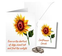Sympathy Card Gift of Sunflower Seeds Matching Seed Packet Memory Card - Find The Sunlight