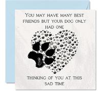 Sympathy Cards Bereavement Loss of Pet Condolences Card - Best Friend - Mourning Bereavement Cards for Adults, Sorry For Your Loss, 145mm Thinking Of You Greeting