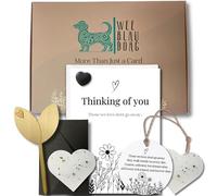 Sympathy Gift for Loss: Thoughtful 5-Piece Thinking of You Gift for Grief | Memorial Keepsake with Condolence Card, Plantable Seed Paper Hearts, Remembrance Plaque, Magnetic Pin & Marker | Gift-Ready